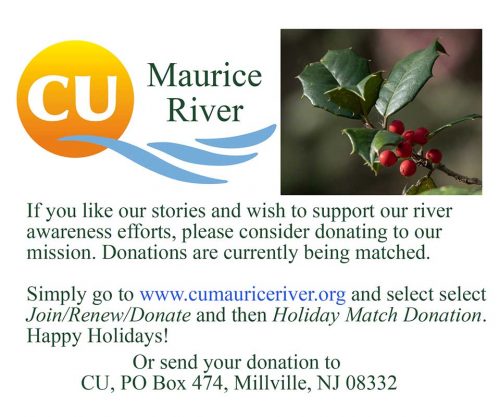 If you like our stories and wish to support our river awareness efforts, please consider donating to our mission. Donations are currently being matched. Simple go to www.cumauriceriver.org and select "Join/Renew/Donate" and then "Holiday Match Donation." Happy Holidays!Or, send your donation to:
CU, PO Box 474, Millville NJ 08332