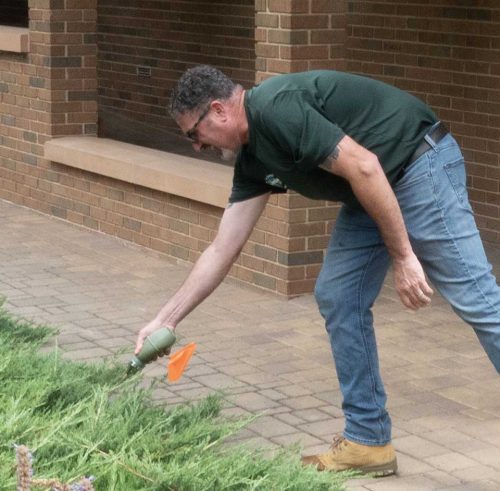 Larry Brown of Brown’s Integrated Pest Management treats yellowjacket nest with care and precision so as not to alarm the wasps.