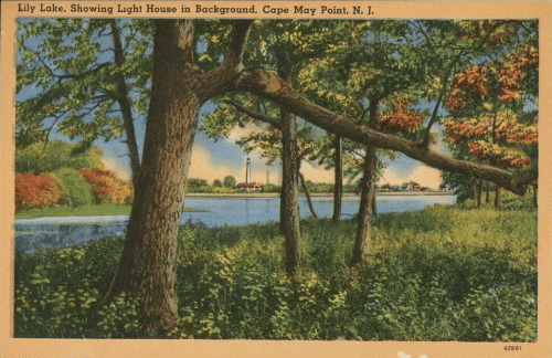 Another vintage postcard from Lake Lily in 1946 shows a distant, but unobstructed view of the 1859 Cape May Point Lighthouse, still an icon of Cape May. 