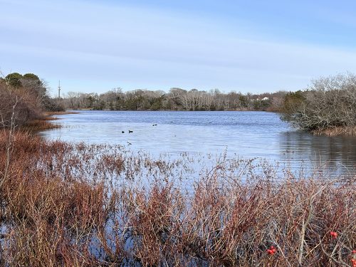 Looking north on Lake Lily, which covers 13 acres and remains a favorite spot for birdwatchers and those seeking a bit of respite. 