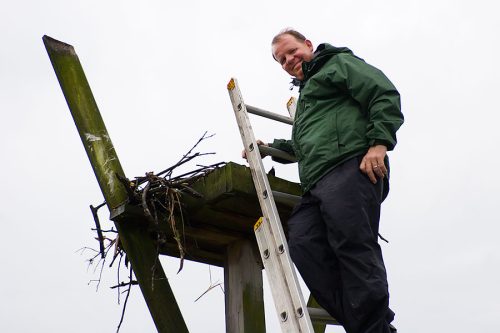 Author’s husband Peter Galetto banding osprey in 2006. Photo: J. Morton Galetto