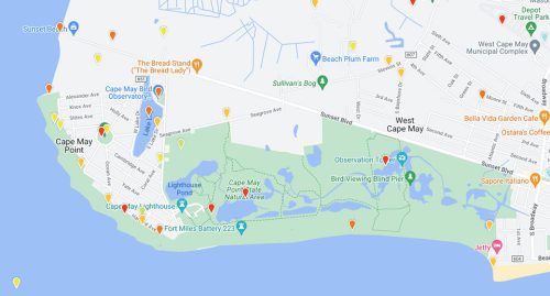 Ebird map of Lake Lily and the western end of Cape May Point State Park. Ebird has a scale for birding “hot spots”—dark red (greatest number of species 600+), lighter red to orange, yellow to pale yellow, green, blue (being the least species 0-15). Note the red and orange teardrops on Cape May Point. Photo: Ebird