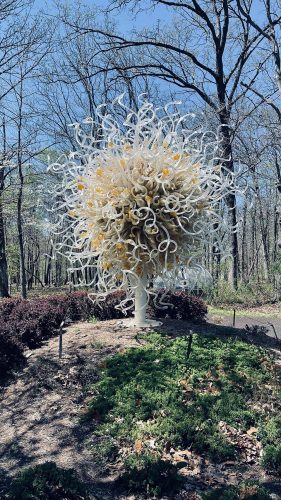 Dale Chihuly’s sculpture along the paths of Crystal Bridges Museum of American Art. Photo: P. Galetto