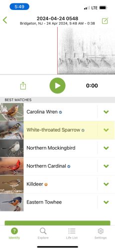 An example of what is displayed on the screen when recording birds using Cornell Lab’s Merlin app. This is a saved recording that looks nearly identical to when the user is recording. Six birds were captured in this recording taken at 5:49 am on April 24, 2024. A yellow highlight shows the bird you are hearing while recording or when playing back. If you select the green arrow to the right of the bird the user can hear other examples of that bird’s call/s. By selecting “explore” the user sees a comprehensive list of regional birds for further details. Photo: Snapshot of Merlin phone application screen 