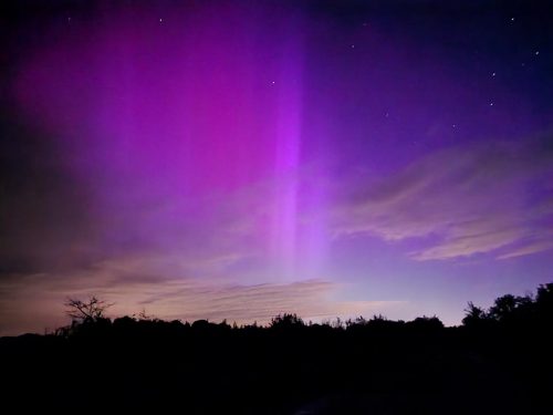 The Northern Lights as captured on May 11, 2024, at Turkey Point by the CU World Series of Birding team, The Fish Hawks.