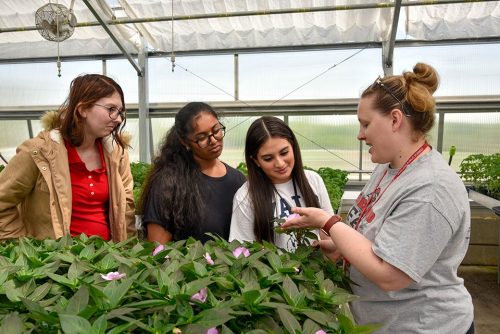 Rebecca Zang, Jiya Patel, Jimnez-Colin, and teacher Mrs. Castellini. Photo: Vineland Public Schools