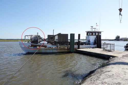 The oyster boat Peter Paynter prepares to off-load oysters by crane. The tumblers on the bow are culling machines. Photo: J. Morton Galetto