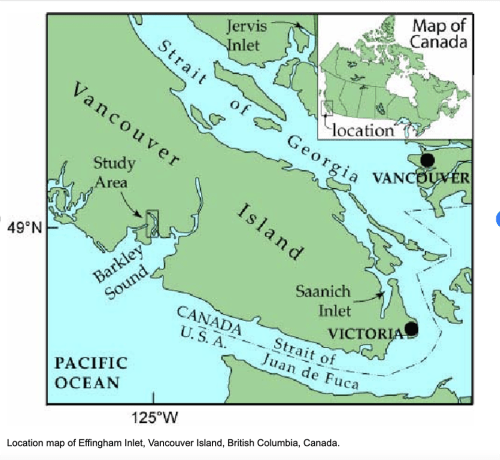 Saanich Inlet, Vancouver Island, British Columbia, Canada. Credit: Research Gate