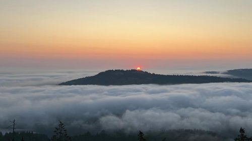 Cloud cover in the Saanich Inlet helps to support rainforests that grow the giant trees of the Northwest, notably Douglas fir and western redcedar.