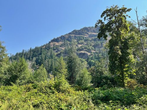 The quiet zone at the end of Finlayson Arm. Goldstream Provincial Park. 