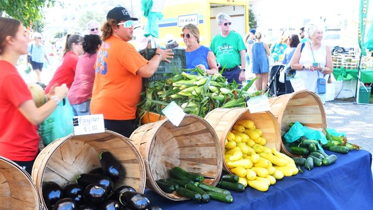 Cover Stories SNJ Today