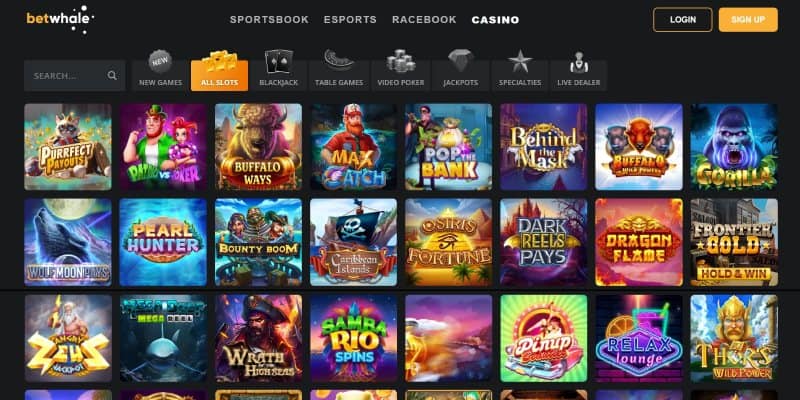 Betwhale Casino