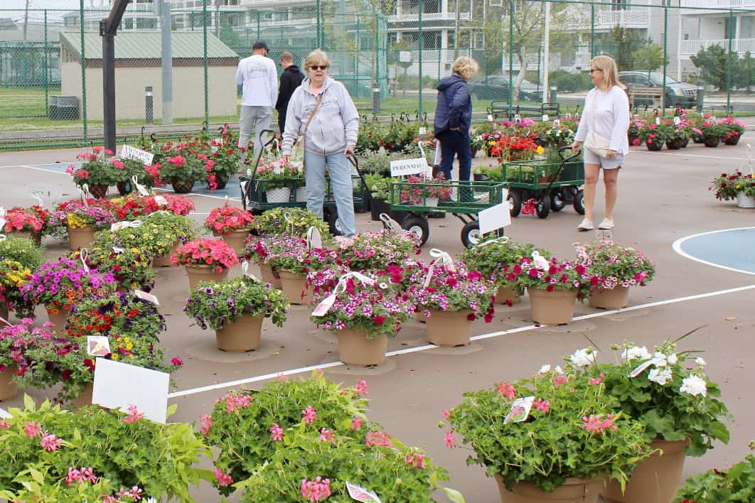 Sea Isle City Flower Sale Fundraiser Returns May 16–17