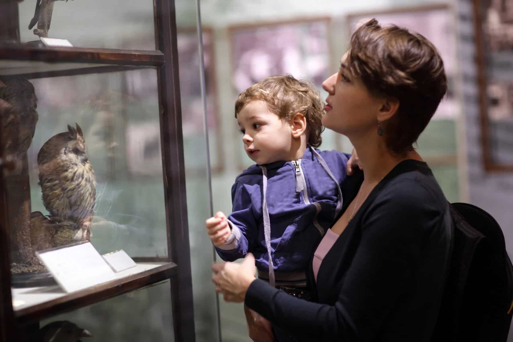 Explore New Jersey Sites with History Pinned This Summer