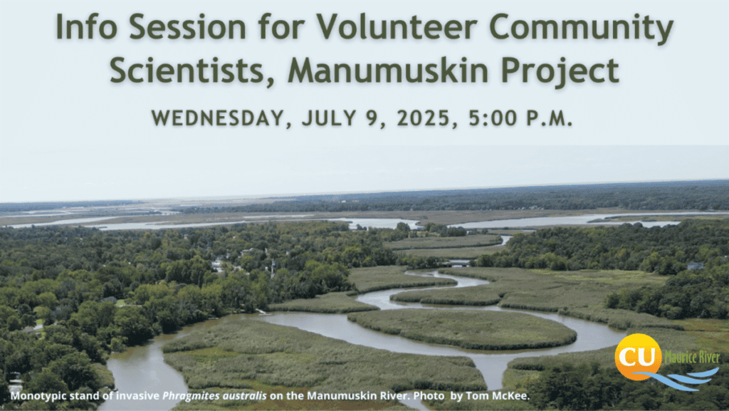 Volunteer for the Manumuskin Project This Summer