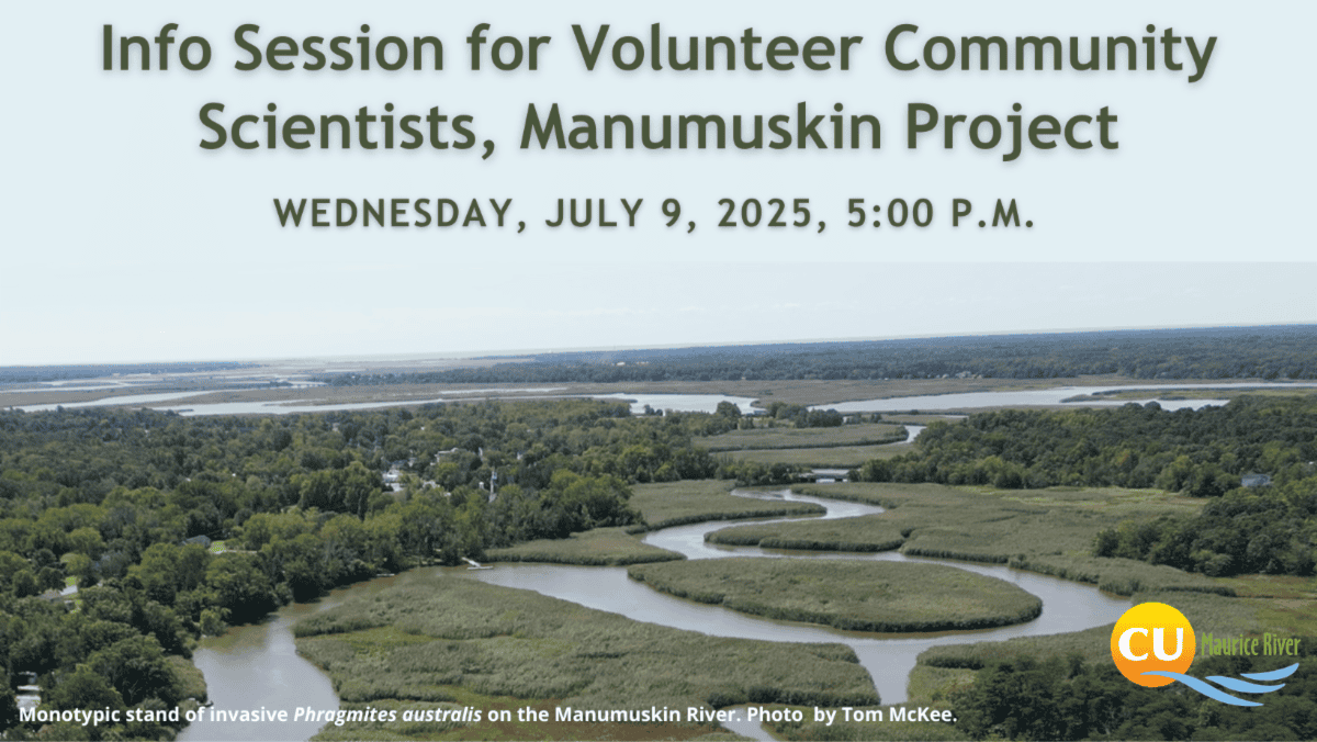 Volunteer for the Manumuskin Project This Summer