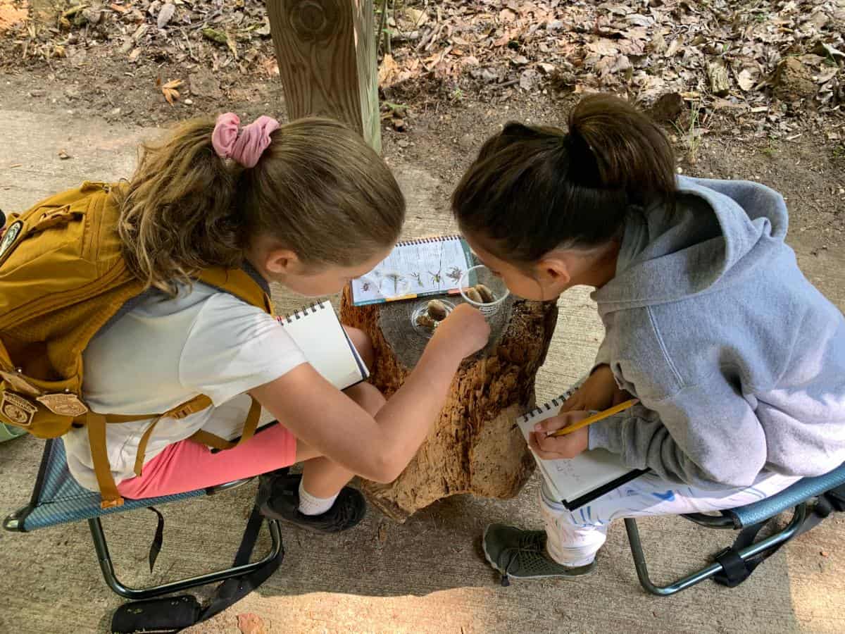 Nature Journaling for Youth Returns to WheatonArts in August
