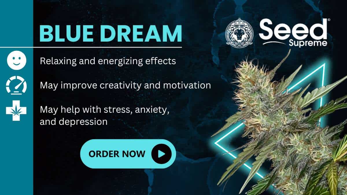 Blue Dream