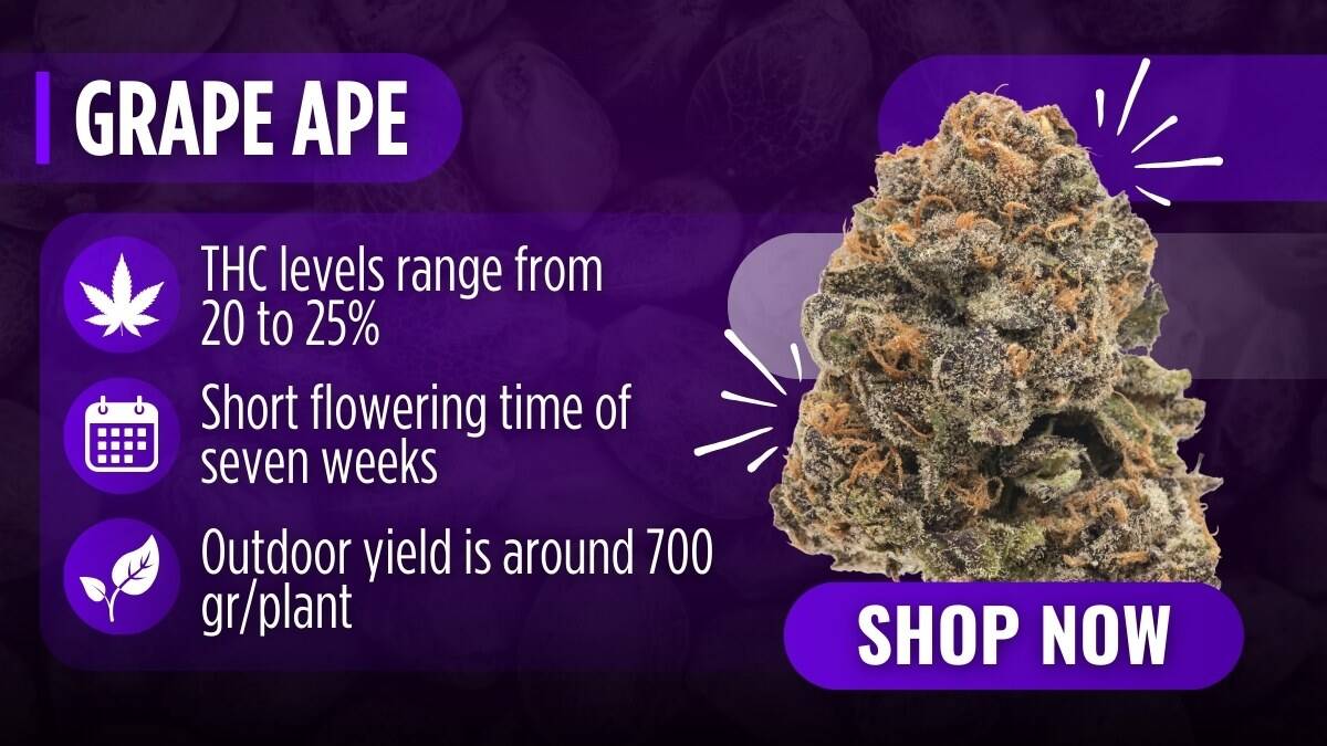 Grape Ape