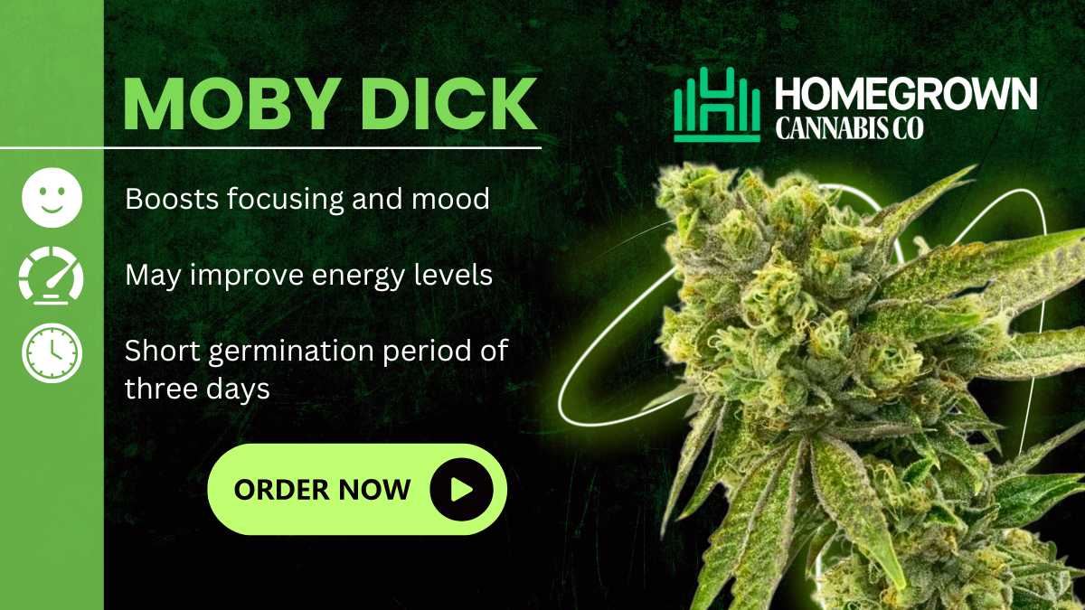 Moby Dick