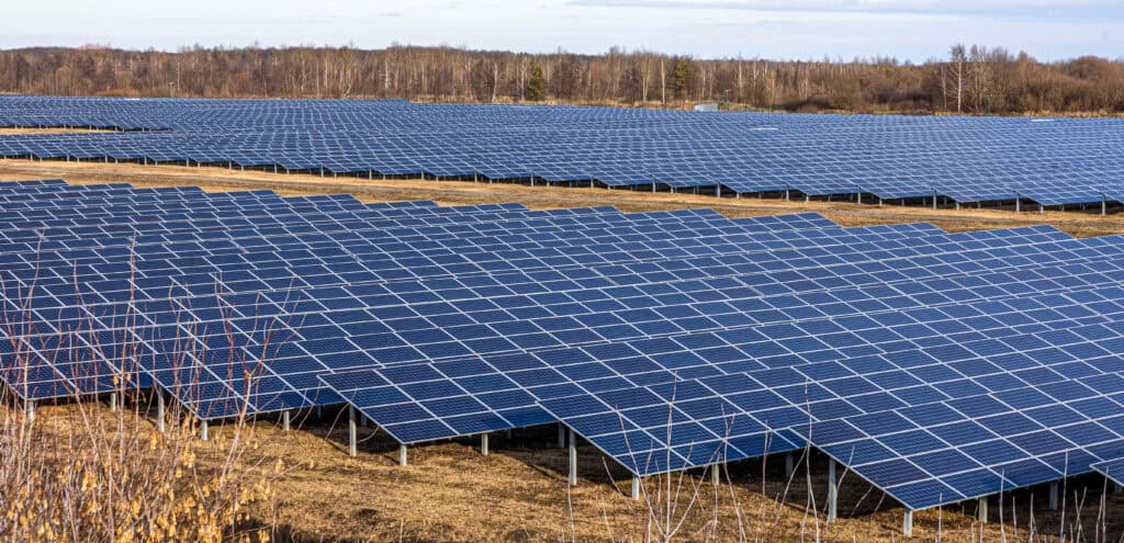 NJBPU Opens Highly Anticipated Dual-Use Solar Program to Establish New Revenue Stream for Farmers