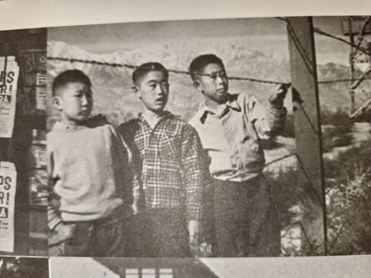 6881777939389649717 rotated 1