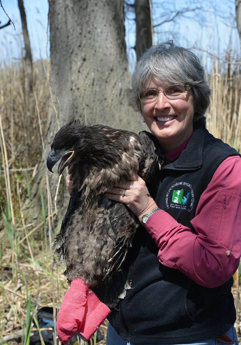 In 2013, our columnist was caught holding a recently banded bald eagle chick. Photo: P. Galetto